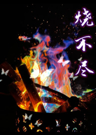 烧不尽(1v1)