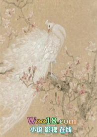 越鸟(NPH)