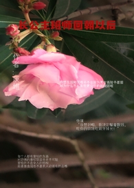 长公主班师回朝以后(女宠男)