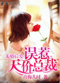 先婚后爱:误惹天价总裁