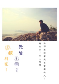 大叔別寵!先生且慢!