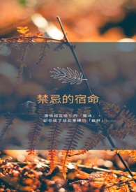 禁忌的宿命(ABO)