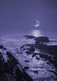 暗夜(NP gl,bg)