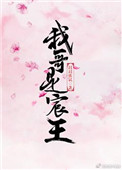 我哥是宸王(重生)