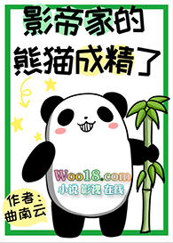 影帝家的熊猫成精了(穿越)