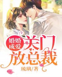 婚婚成爱:关门,放总裁