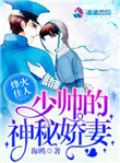 烽火佳人:少帅的神秘娇妻