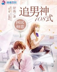 国民初恋:追男神108式