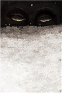 见雪深(洒家)