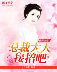 惹祸上身:总裁大人,接招吧!