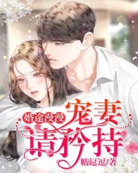 婚途漫漫:宠妻请矜持
