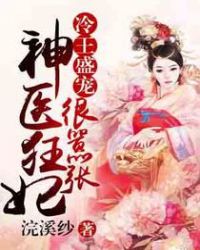 冷王盛宠:神医狂妃很嚣张