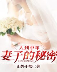 人到中年:妻子的秘密