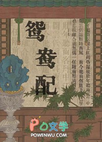 鸳鸯佩