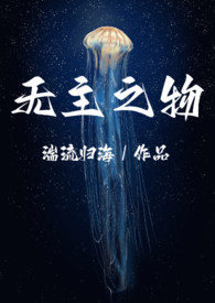 无主之物(NP)
